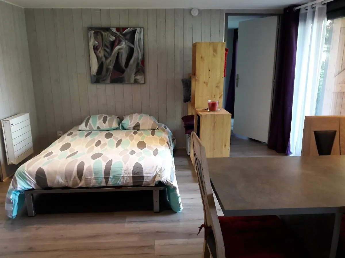 Appartement Les Massonnat à Aix-les-Bains France